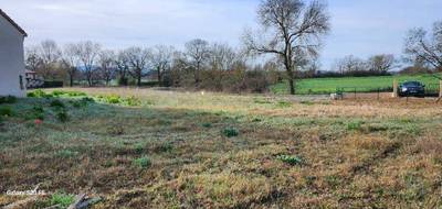 Programme terrain + maison à Castelnau-de-Lévis en Tarn (81) de 90 m² à vendre au prix de 201993€ - 4