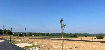 Programme terrain + maison à Saint-Eustache-la-Forêt en Seine-Maritime (76) de 81 m² à vendre au prix de 212000€ - 3