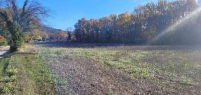 Terrain seul à Saignon en Vaucluse (84) de 330 m² à vendre au prix de 65000€ - 3