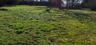 Programme terrain + maison à Saint-Victurnien en Haute-Vienne (87) de 93 m² à vendre au prix de 231500€ - 4