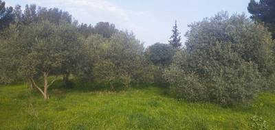 Terrain seul à Saint-Chamas en Bouches-du-Rhône (13) de 533 m² à vendre au prix de 240000€ - 4