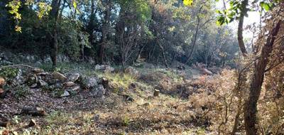 Terrain seul à Tourves en Var (83) de 505 m² à vendre au prix de 145000€ - 1
