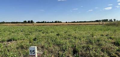 Programme terrain + maison à Baralle en Pas-de-Calais (62) de 124 m² à vendre au prix de 239000€ - 3