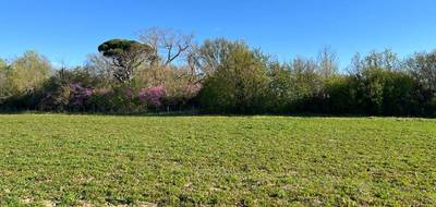 Terrain seul à Labastide-d'Anjou en Aude (11) de 465 m² à vendre au prix de 55800€ - 4