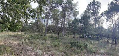 Terrain seul à Le Thoronet en Var (83) de 500 m² à vendre au prix de 135000€ - 1