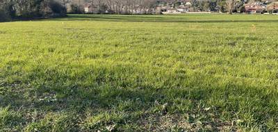 Terrain seul à Payrin-Augmontel en Tarn (81) de 700 m² à vendre au prix de 56000€ - 2