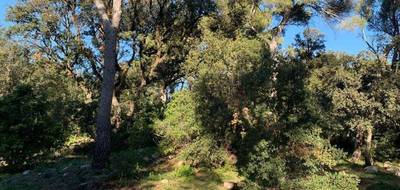 Programme terrain + maison à Martigues en Bouches-du-Rhône (13) de 130 m² à vendre au prix de 598890€ - 4