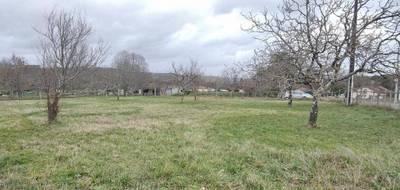 Programme terrain + maison à Neuvic en Dordogne (24) de 81 m² à vendre au prix de 191731€ - 3