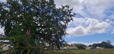 Programme terrain + maison à Médis en Charente-Maritime (17) de 130 m² à vendre au prix de 391000€ - 3