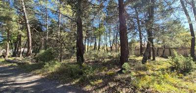 Programme terrain + maison à Régusse en Var (83) de 130 m² à vendre au prix de 460000€ - 4