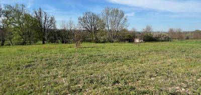 Terrain seul à Graulhet en Tarn (81) de 1249 m² à vendre au prix de 45000€ - 1