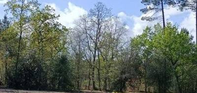 Terrain seul à La Brède en Gironde (33) de 1000 m² à vendre au prix de 225000€ - 1