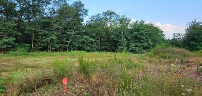 Terrain seul à Grazac en Haute-Garonne (31) de 363 m² à vendre au prix de 55000€ - 4