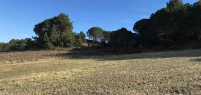 Terrain seul à Villeneuve-Minervois en Aude (11) de 2578 m² à vendre au prix de 82000€ - 1