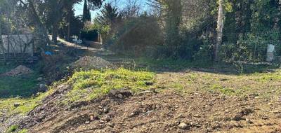 Programme terrain + maison à Montauroux en Var (83) de 90 m² à vendre au prix de 420000€ - 4