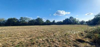 Terrain seul à Montaut en Ariège (09) de 527 m² à vendre au prix de 48000€ - 3