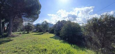 Terrain seul à Le Muy en Var (83) de 1018 m² à vendre au prix de 245000€ - 1