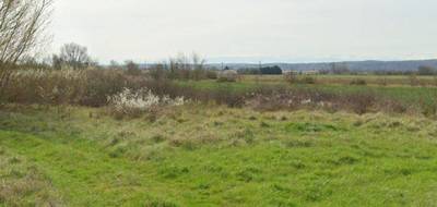 Terrain seul à Auterive en Haute-Garonne (31) de 1500 m² à vendre au prix de 87000€ - 2