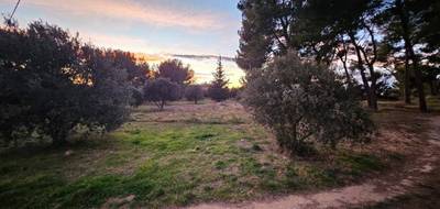 Terrain seul à Saint-Chamas en Bouches-du-Rhône (13) de 509 m² à vendre au prix de 230000€ - 3