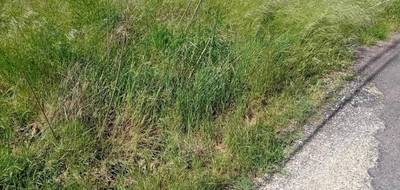 Terrain seul à Lanton en Gironde (33) de 558 m² à vendre au prix de 252000€ - 3