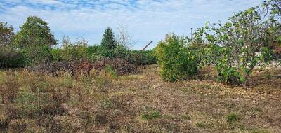 Terrain seul à Pamiers en Ariège (09) de 755 m² à vendre au prix de 71000€ - 3