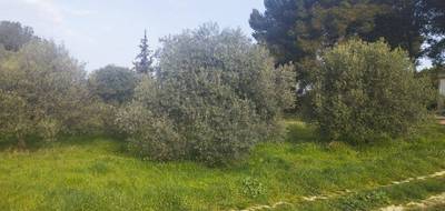 Terrain seul à Saint-Chamas en Bouches-du-Rhône (13) de 533 m² à vendre au prix de 240000€ - 1