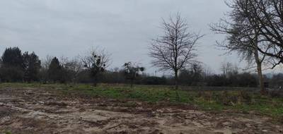 Programme terrain + maison à Canapville en Calvados (14) de 132 m² à vendre au prix de 471200€ - 4