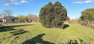 Programme terrain + maison à Plaisance-du-Touch en Haute-Garonne (31) de 95 m² à vendre au prix de 331000€ - 4
