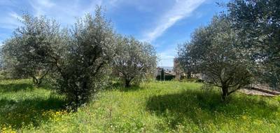 Terrain seul à Sainte-Tulle en Alpes-de-Haute-Provence (04) de 614 m² à vendre au prix de 150000€ - 1