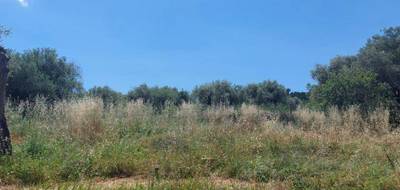 Terrain seul à Opio en Alpes-Maritimes (06) de 2550 m² à vendre au prix de 690000€ - 2