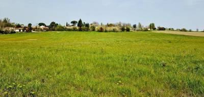 Terrain seul à Merville en Haute-Garonne (31) de 425 m² à vendre au prix de 103000€ - 2