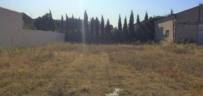 Programme terrain + maison à Domazan en Gard (30) de 83 m² à vendre au prix de 280000€ - 4