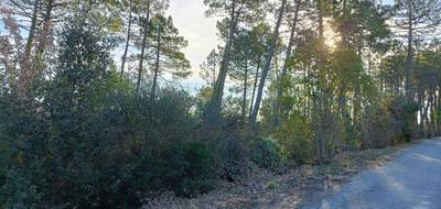 Terrain seul à Saint-Paul-en-Forêt en Var (83) de 1300 m² à vendre au prix de 170000€ - 3