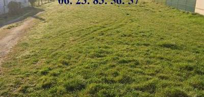 Programme terrain + maison à Wailly en Pas-de-Calais (62) de 145 m² à vendre au prix de 339650€ - 3