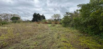 Terrain seul à Castelnaudary en Aude (11) de 800 m² à vendre au prix de 65000€ - 1