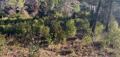 Terrain seul à Brignoles en Var (83) de 617 m² à vendre au prix de 135000€ - 1