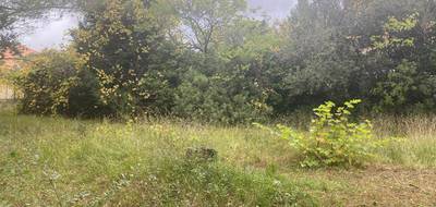 Programme terrain + maison à Cuers en Var (83) de 110 m² à vendre au prix de 436000€ - 3