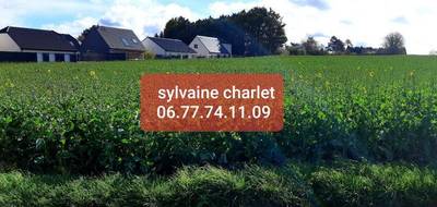 Programme terrain + maison à Sains-en-Gohelle en Pas-de-Calais (62) de 80 m² à vendre au prix de 223000€ - 3