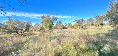 Programme terrain + maison à Bagnols-en-Forêt en Var (83) de 74 m² à vendre au prix de 375000€ - 3
