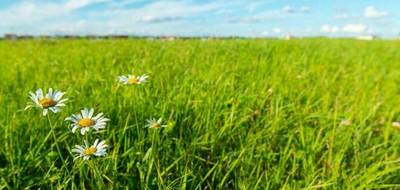 Terrain seul à Le Poinçonnet en Indre (36) de 1650 m² à vendre au prix de 60000€ - 2