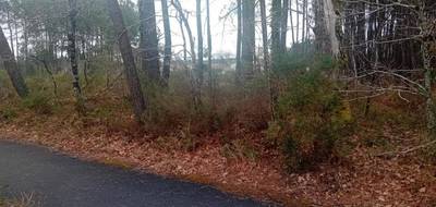 Terrain seul à Ychoux en Landes (40) de 750 m² à vendre au prix de 95000€ - 1