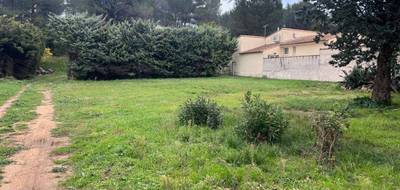 Terrain seul à Fontvieille en Bouches-du-Rhône (13) de 900 m² à vendre au prix de 350000€ - 3