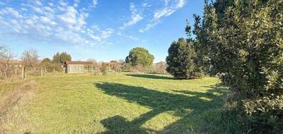 Programme terrain + maison à Plaisance-du-Touch en Haute-Garonne (31) de 110 m² à vendre au prix de 341000€ - 4