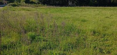 Terrain seul à Marcilloles en Isère (38) de 913 m² à vendre au prix de 84000€ - 3
