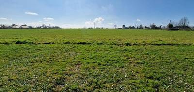 Programme terrain + maison à Beuzeville-la-Grenier en Seine-Maritime (76) de 100 m² à vendre au prix de 265000€ - 4