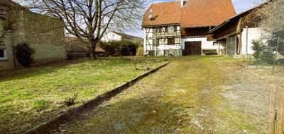 Programme terrain + maison à Waldighofen en Haut-Rhin (68) de 130 m² à vendre au prix de 618350€ - 3