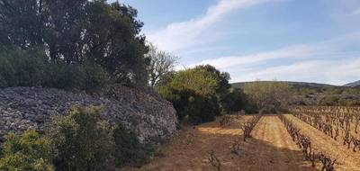 Terrain seul à Caves en Aude (11) de 400 m² à vendre au prix de 109900€ - 1