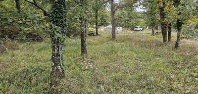 Terrain seul à Saint-Vallier-de-Thiey en Alpes-Maritimes (06) de 972 m² à vendre au prix de 185000€ - 3