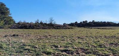 Programme terrain + maison à Villeneuve-la-Rivière en Pyrénées-Orientales (66) de 145 m² à vendre au prix de 484000€ - 3