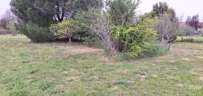Programme terrain + maison à Plaisance-du-Touch en Haute-Garonne (31) de 83 m² à vendre au prix de 301798€ - 4